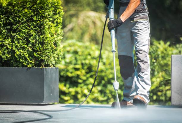 Best Solar Panel Cleaning  in Kettle Falls, WA